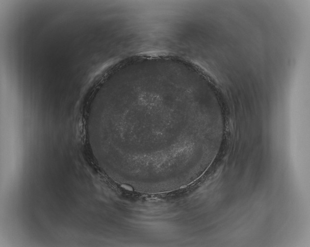 X0000111171398200907011340