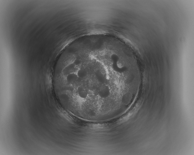 X0000111171401200907011340