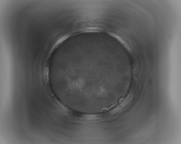 X0000111171402200907011340