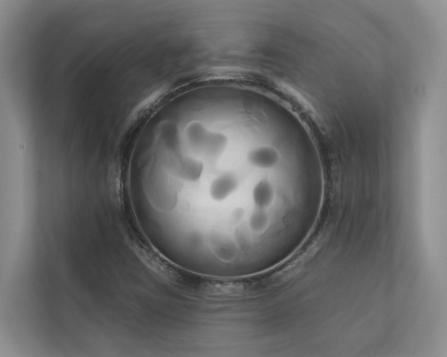 X0000111171403200907011340