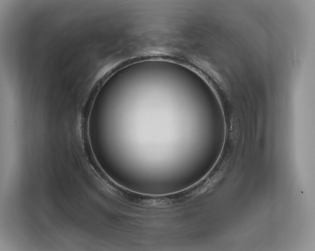 X0000111171404200907011340