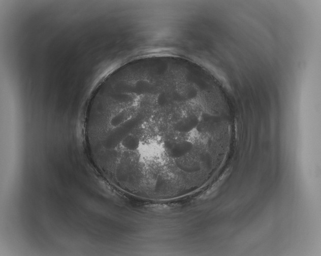 X0000111171405200907011340