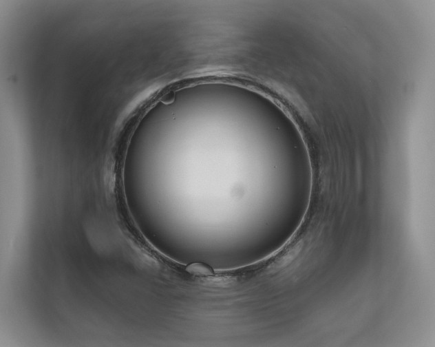 X0000111171406200907011340