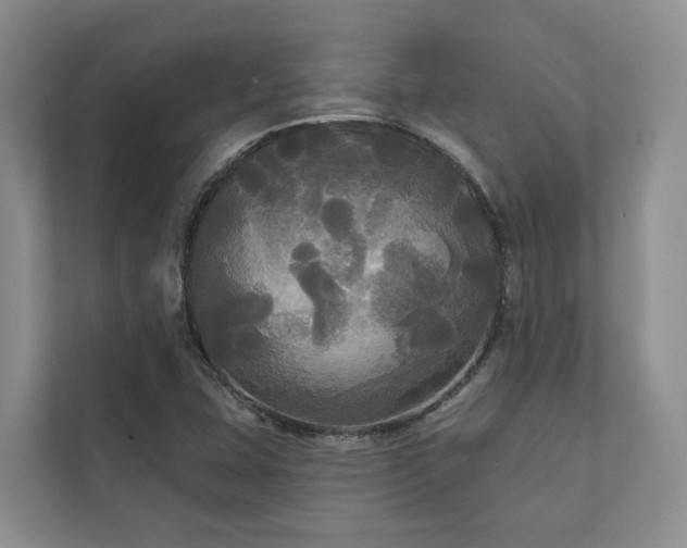 X0000111171407200907011340