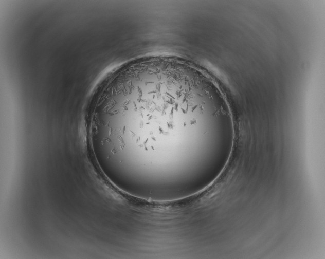 X0000111171408200907011340