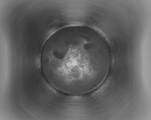 X0000111171409200907011340