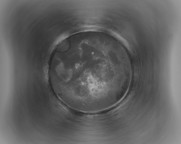 X0000111171411200907011340