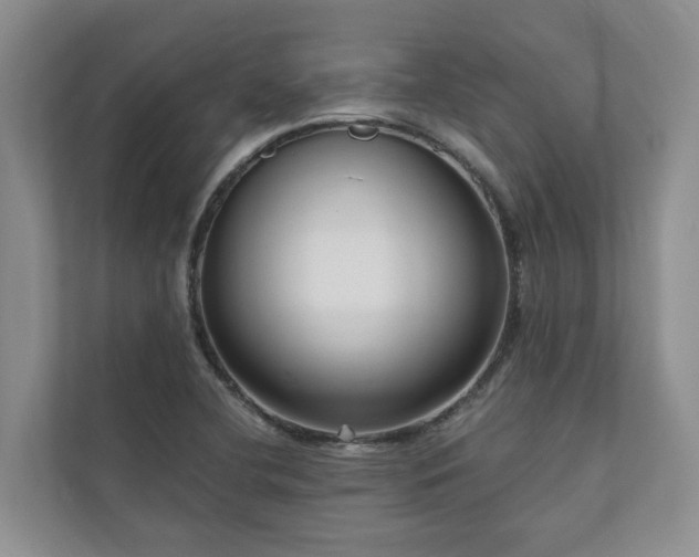 X0000111171412200907011340