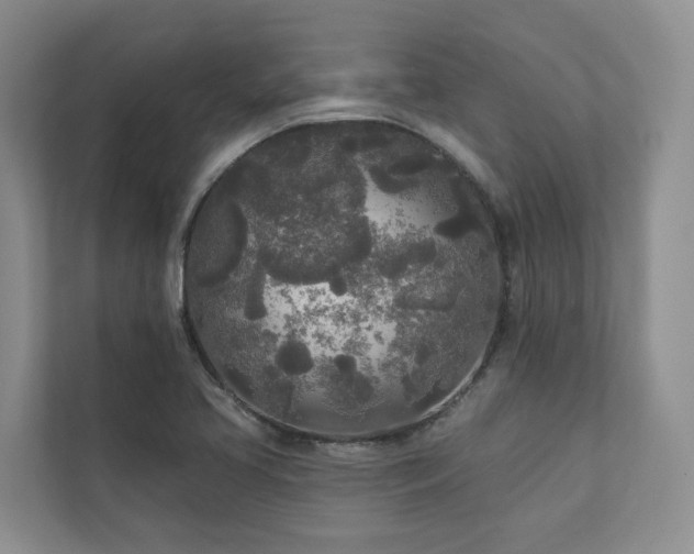 X0000111171413200907011340