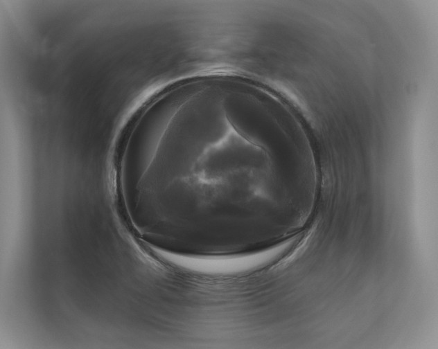 X0000111171414200907011340