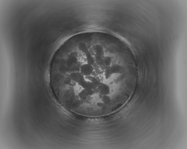 X0000111171415200907011340