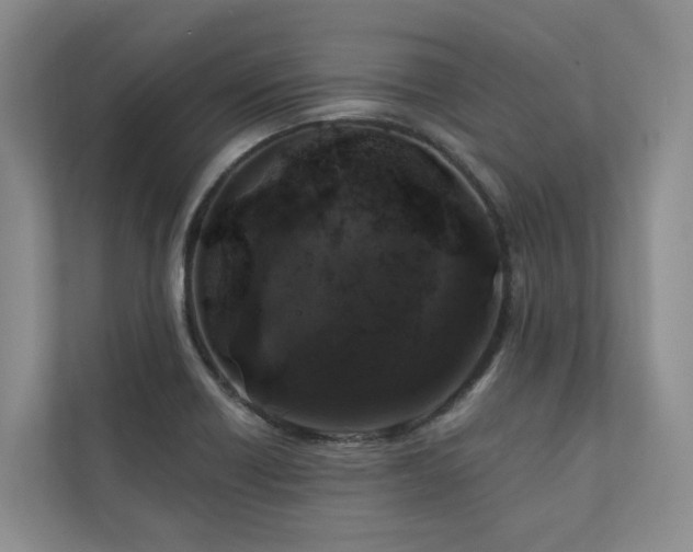 X0000111171418200907011340