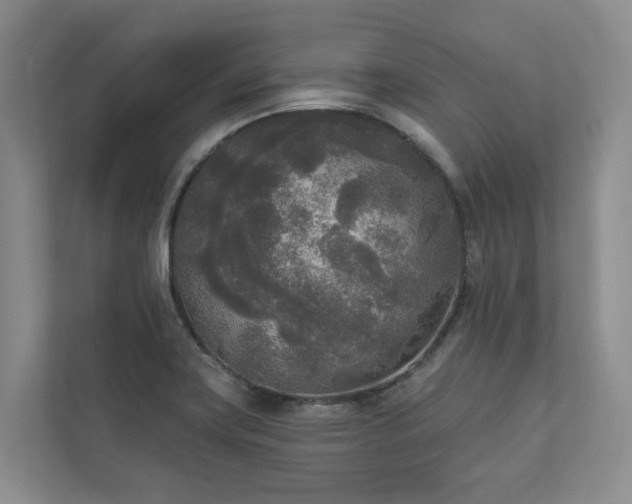 X0000111171419200907011340