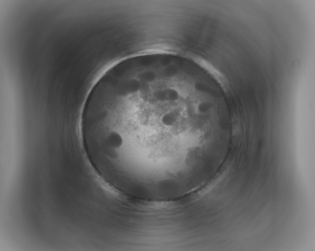 X0000111171423200907011340