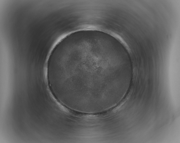 X0000111171424200907011340