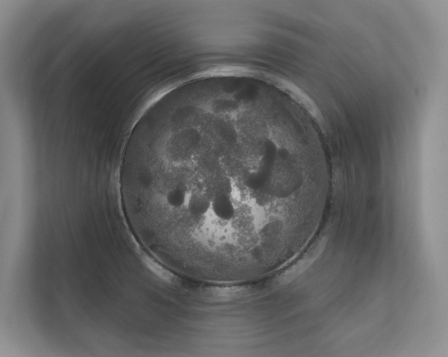 X0000111171425200907011340