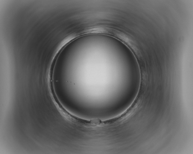 X0000111171426200907011340