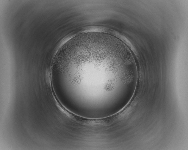 X0000111171433200907011340