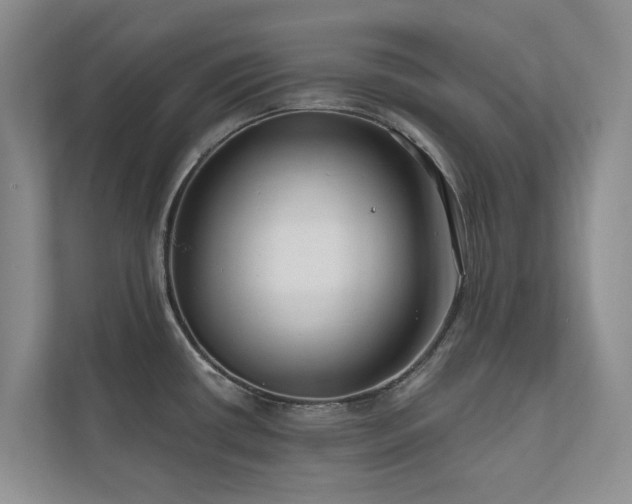 X0000111171434200907011340