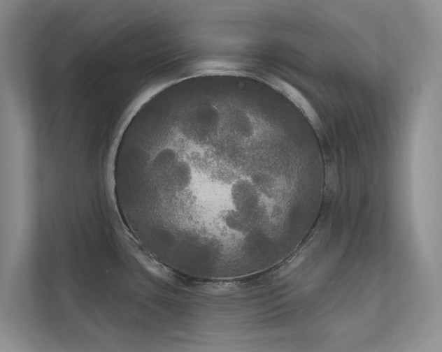 X0000111171435200907011340