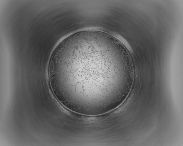 X0000111171436200907011340