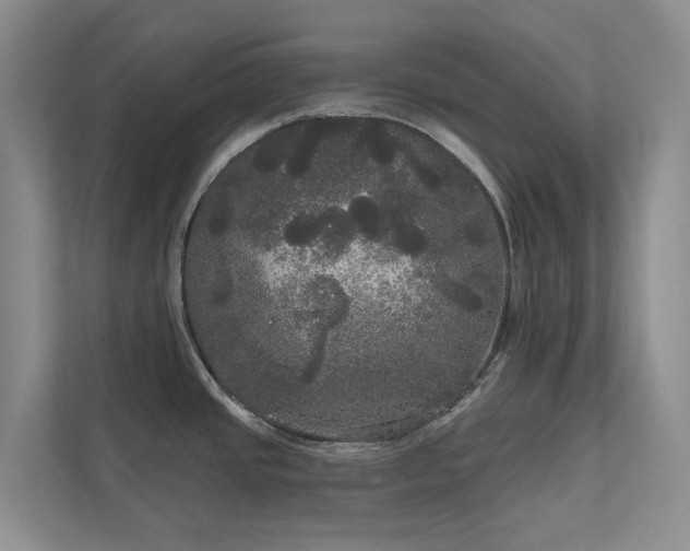 X0000111171437200907011340