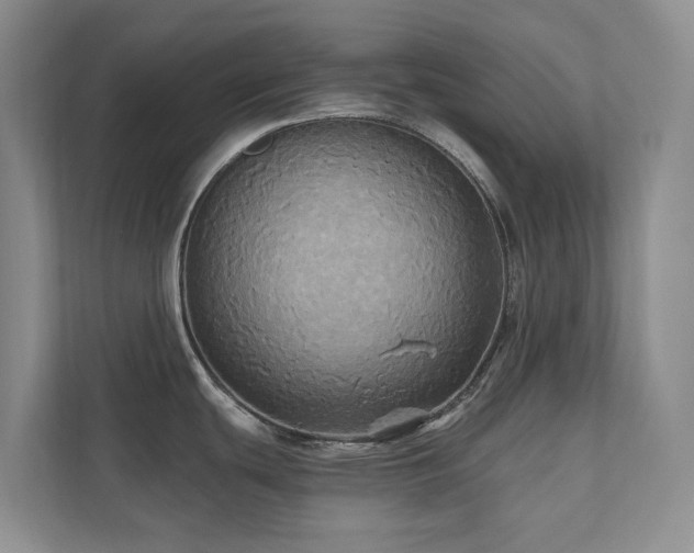 X0000111171439200907011340