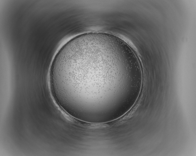 X0000111171440200907011341