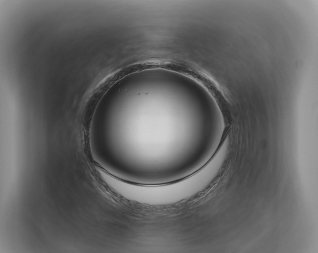 X0000111171448200907011340