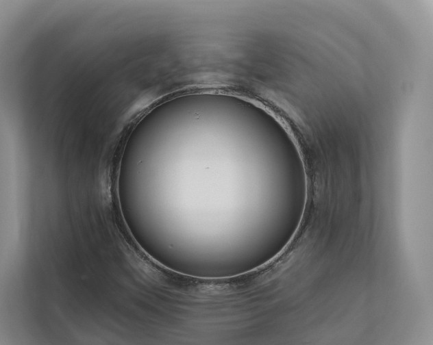 X0000111171451200907011340