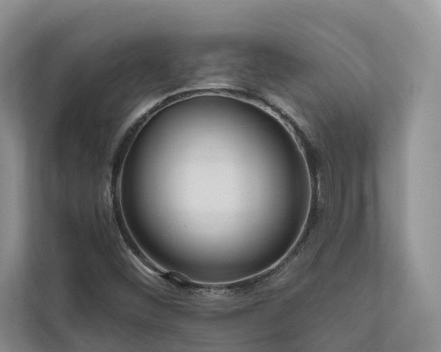 X0000111171452200907011340