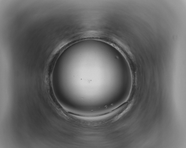 X0000111171453200907011340