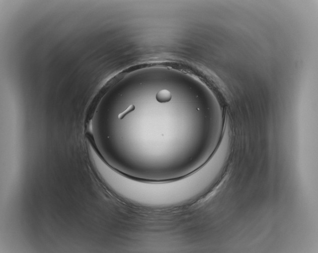 X0000111171457200907011340