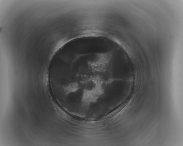 X0000111171459200907011340