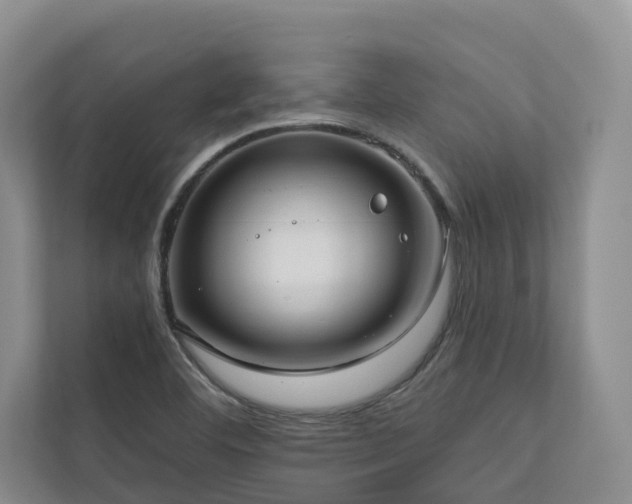 X0000111171460200907011340