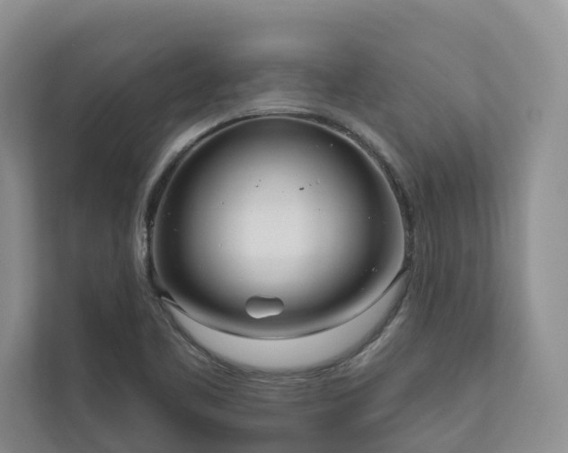 X0000111171461200907011340