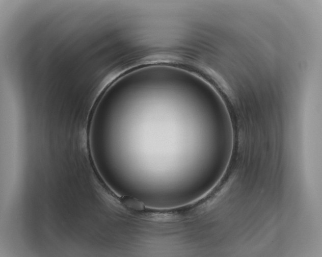 X0000111171465200907011340