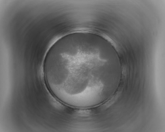 X0000111171466200907011340