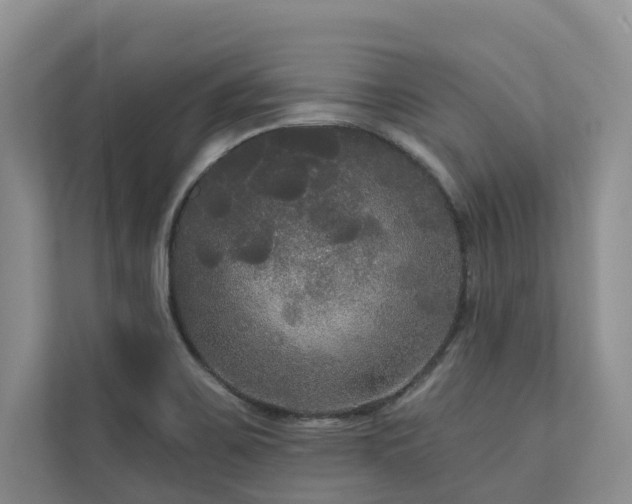 X0000111171467200907011340