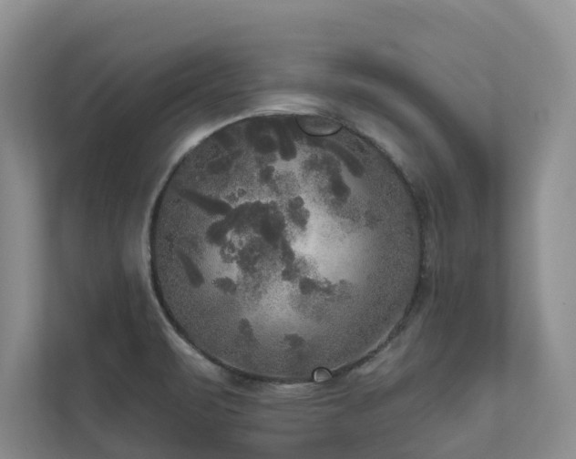 X0000111171471200907011339