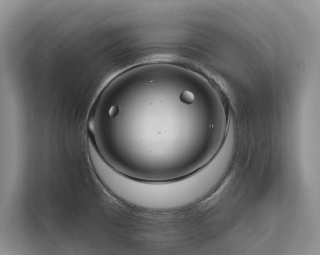 X0000111171473200907011339