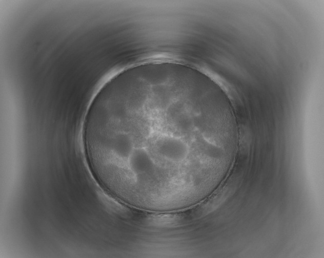 X0000111171474200907011339