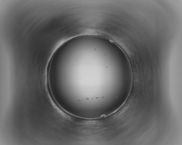 X0000111171479200907011339