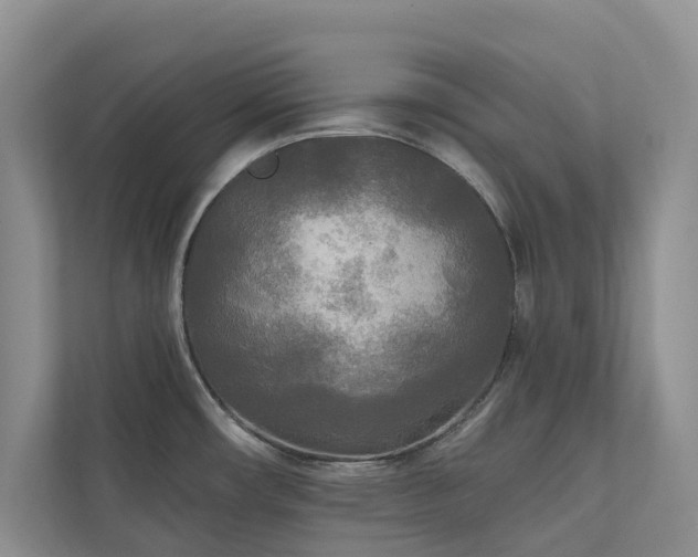 X0000111171482200907011339