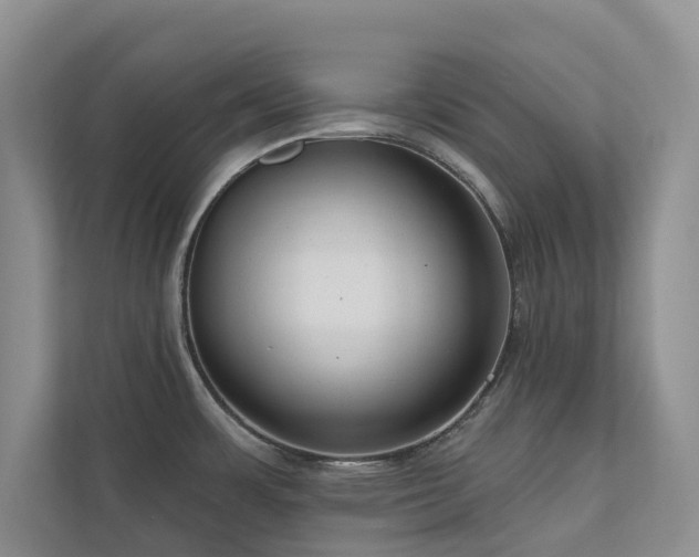 X0000111171483200907011339