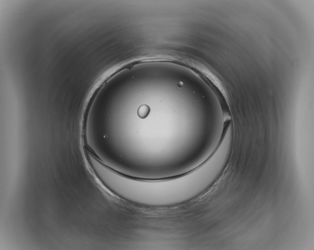 X0000111171485200907011339