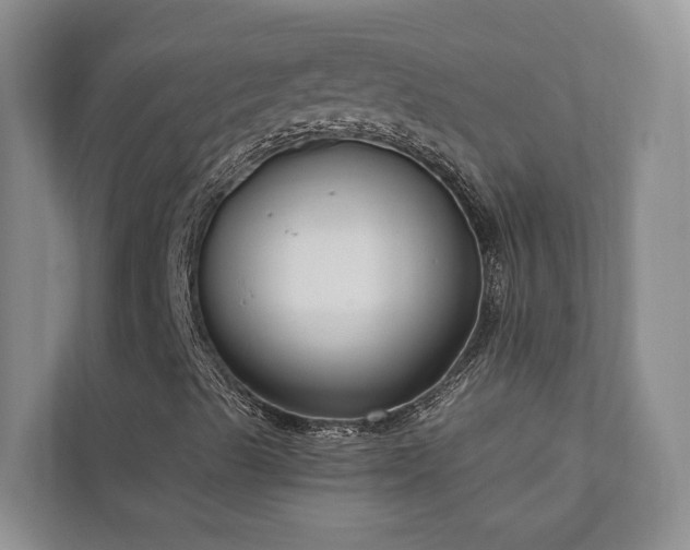 X0000111171489200907011339