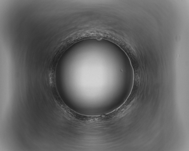 X0000111171490200907011339