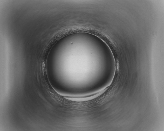 X0000111171492200907011339