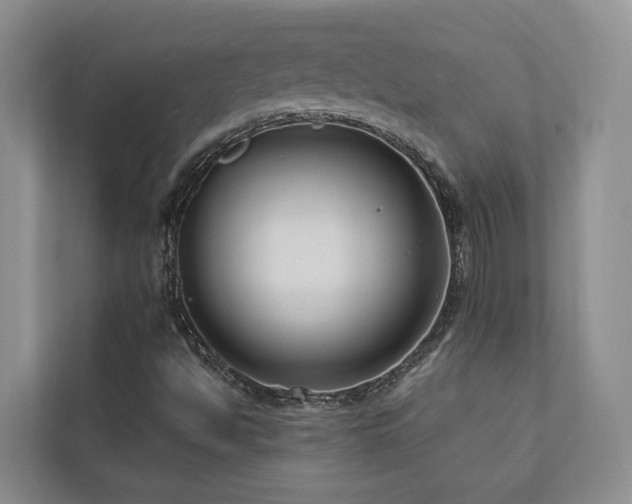 X0000111171494200907011339